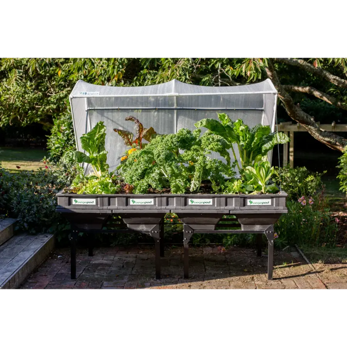Large Stand