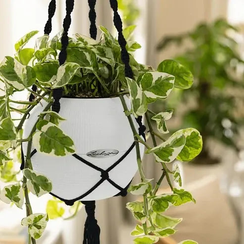 Lechuza Macramé hanger for YULA Planter _ black
