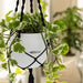Lechuza Macramé hanger for YULA Planter _ black
