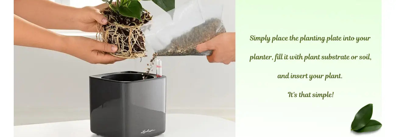 Lechuza Planting Plate For Stick Systems (CUBE CANTO & YULA)