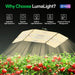 LumaLight 200W LED Grow Light