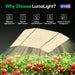 LumaLight 400W LED Grow Light