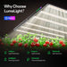 LumaLight 500W LED Grow Light