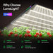LumaLight 750W LED Grow Light