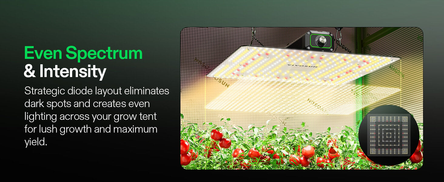 LumaLight 150W LED Grow Light