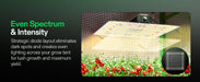 LumaLight 150W LED Grow Light