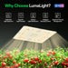 LumaLight 150W LED Grow Light