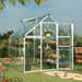 Maze 6 x 8 Harmony Greenhouse (1.9m x 2.5m) with roof vent