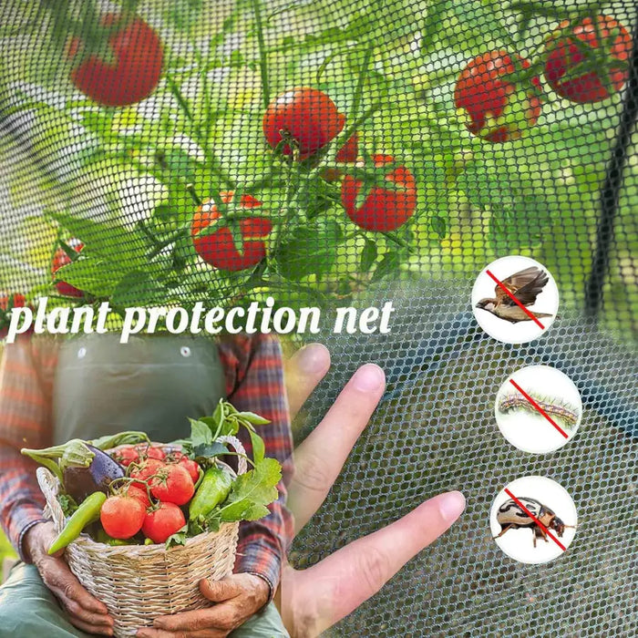 Maze Raised Bed (1.25m2 - Height 29cm) with Net Crop Cage (1.25m2 x 1.8m High)