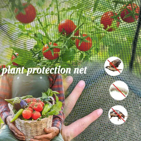 Maze Raised Bed (1.25m2 - Height 43cm) with Net Crop Cage (1.25m2 x 1.8m High)