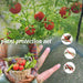 Maze Raised Bed (1.25m2 - Height 43cm) with Net Crop Cage (1.25m2 x 1.8m High)