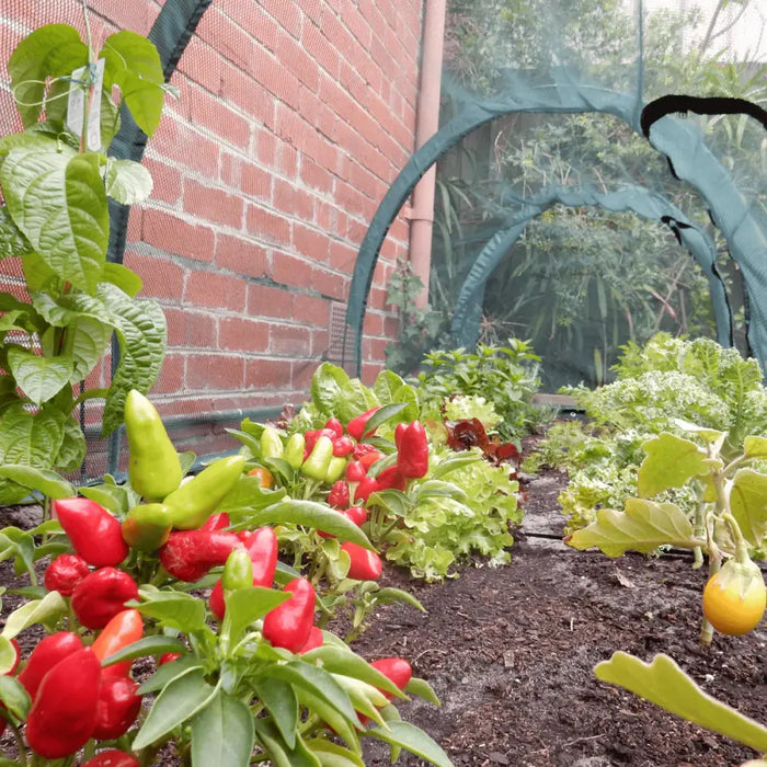 Maze Raised Garden Bed (Height 43cm) with 3m Net Tunnel