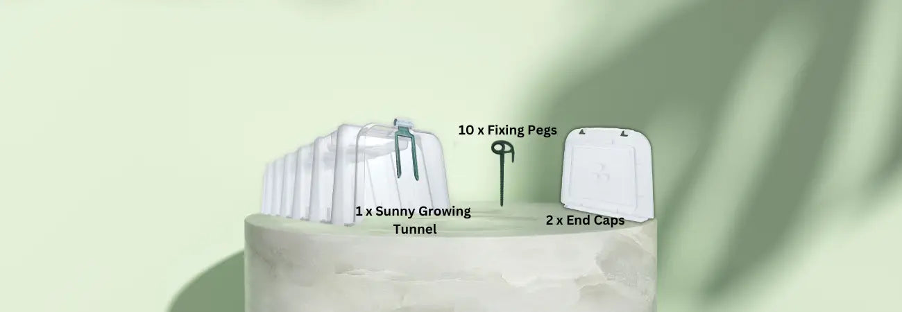 Maze Sunny Growing Tunnel With End Caps & 10 X Pegs