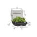 Medium Raised Garden Bed with Cover (1m x 1m)