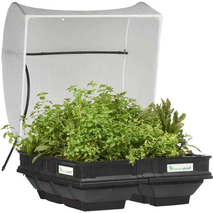 Medium Raised Garden Bed with Cover (1m x 1m)