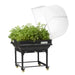 Medium Raised Garden Bed with Cover + Trolley
