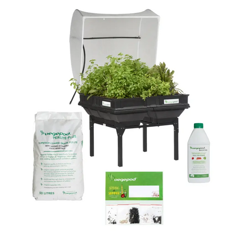 Medium Starter Pack with Stand