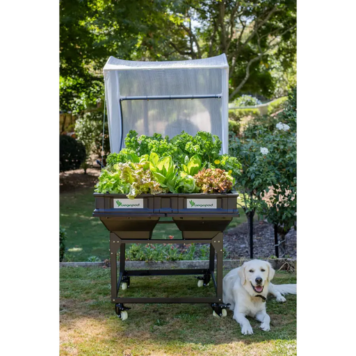 Medium Starter Pack with Trolley