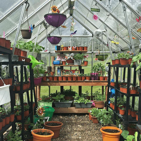 Inside the Octave 8 x 12 ft greenhouse showing clear panels, hanging plants, and shelving