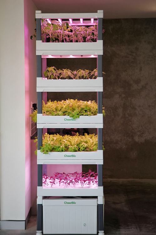 PlantBlock 5 Layer