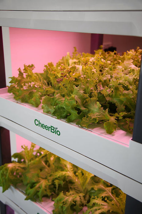 PlantBlock 5 Layer