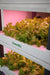 PlantBlock 5 Layer