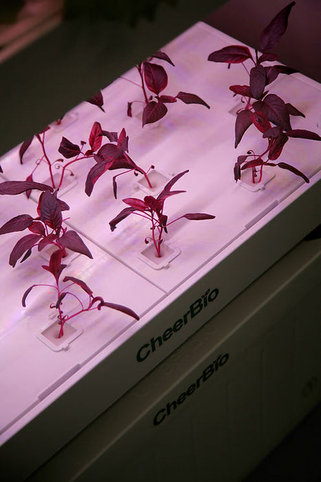 PlantBlock 5 Layer