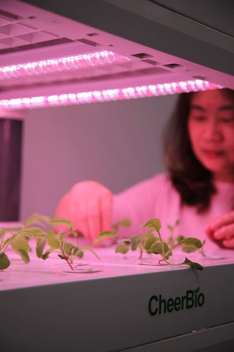  PlantBlock 5 Layer