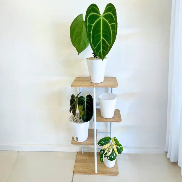 Square Self-Watering Pots with Wick – For Soil or Hydroponics