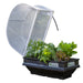 Small Raised Garden Bed with Cover 0.5m x 1m