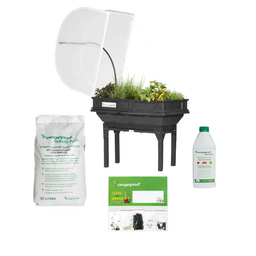 Small Starter Pack with Stand