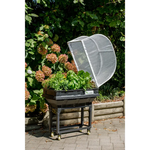 Small Starter Pack with Trolley