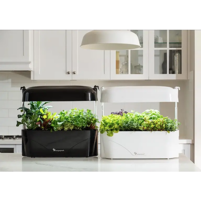 Vegepod Kitchen Garden