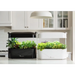 Vegepod Kitchen Garden