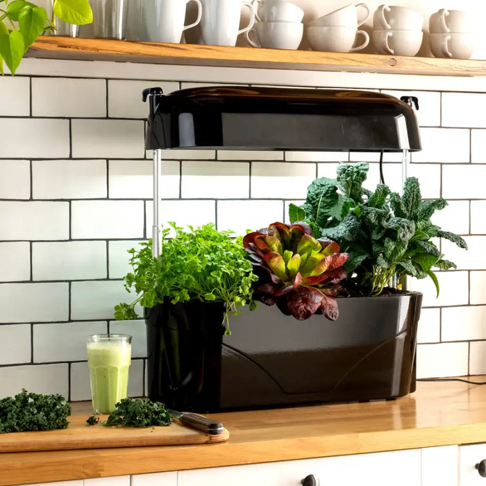 Vegepod Kitchen Garden