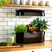 Vegepod Kitchen Garden