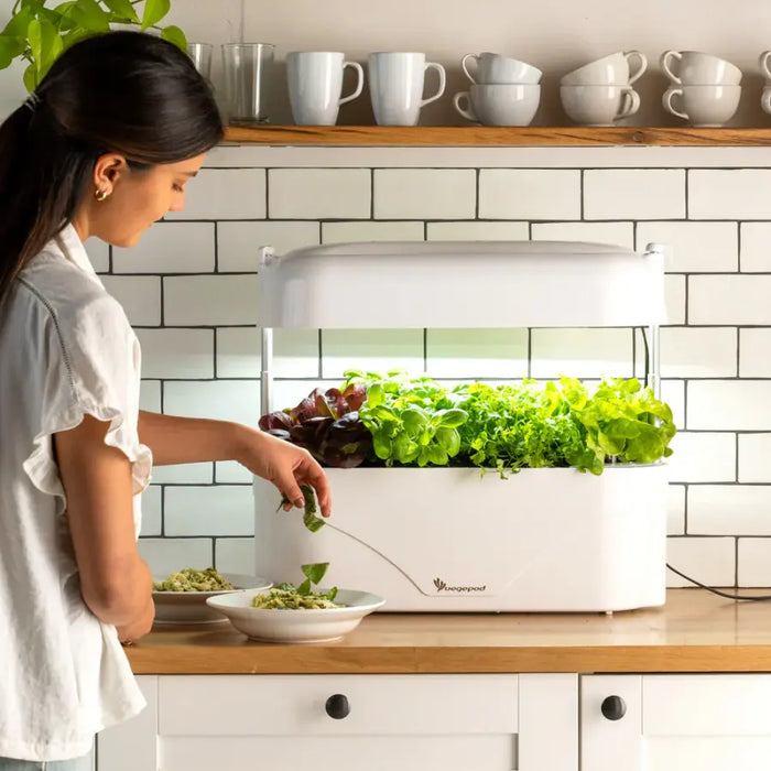 Self-Watering Indoor Herb Garden with Grow Light