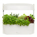 Vegepod Kitchen Garden