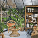 Interior of Victory cathedral greenhouse showing high ceilings, shelving and seating area