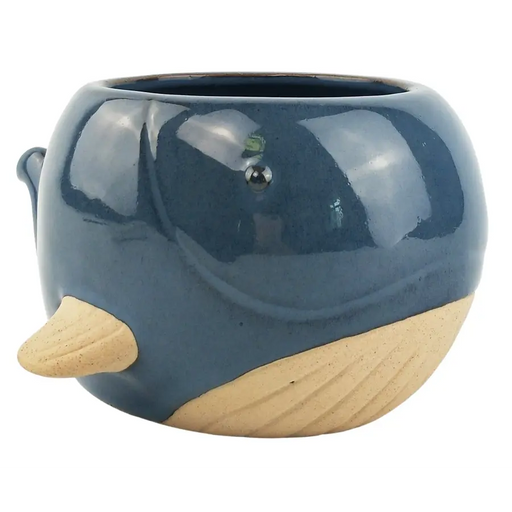 Whale Planter Blue Lg 9cm