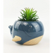 Whale Planter Blue Lg 9cm
