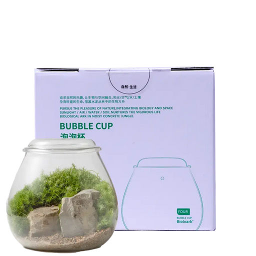 bioloark-bubble-cup-4-glass terrarium and box