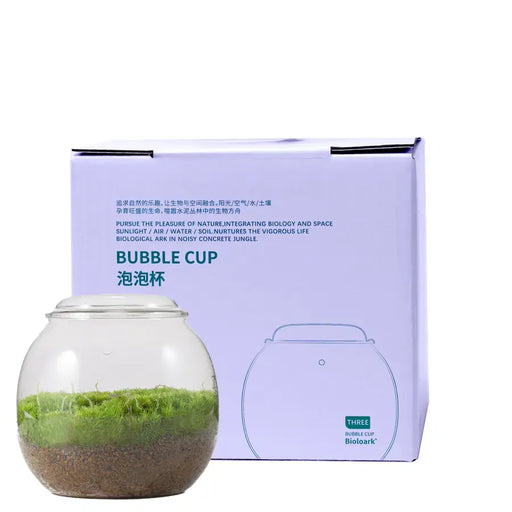 bioloark-bubble-cup-#3 moss terrarium with box