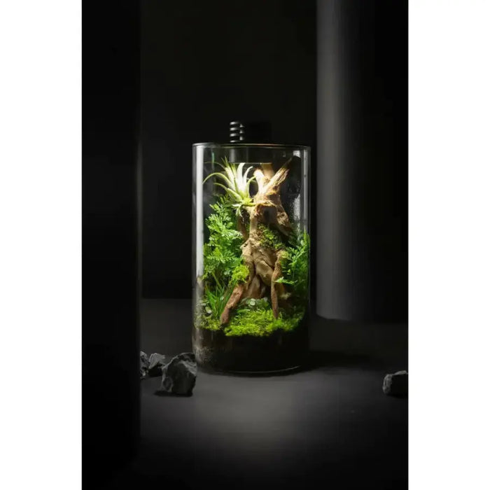 Bioscape 150 cylinder Nano Moss Terrarium (4.1 litre) with Grow Light