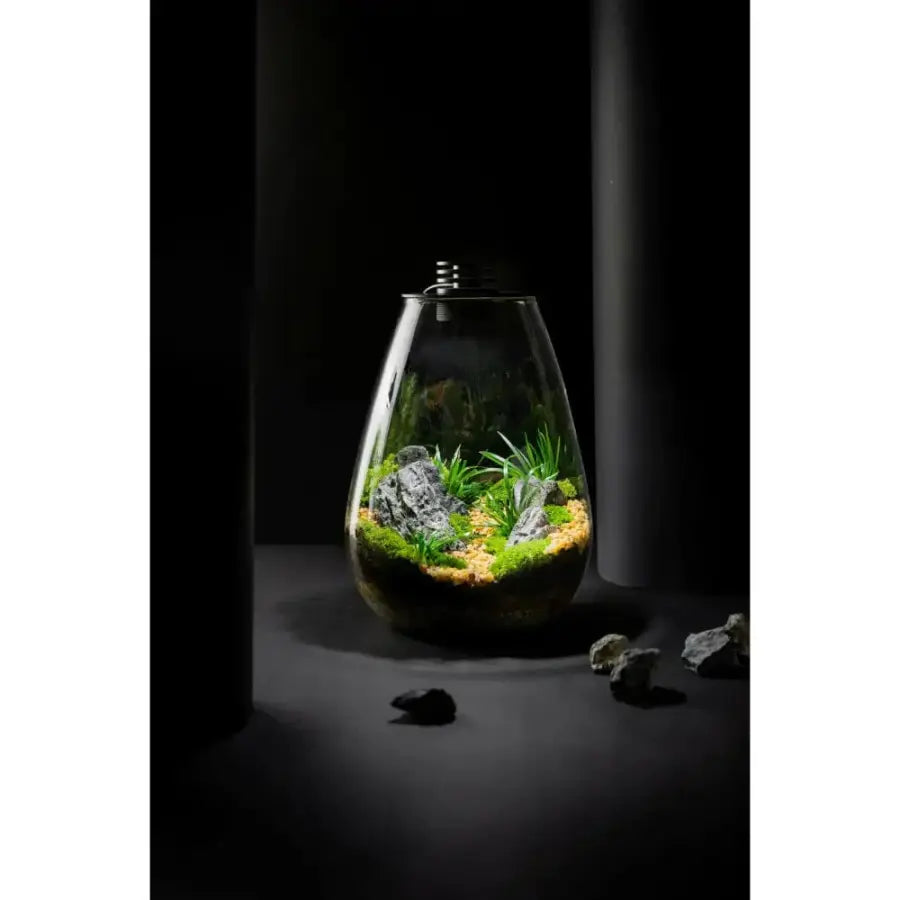 🌳 New Cylinder Full spectrum - Moss Terrarium LED Light