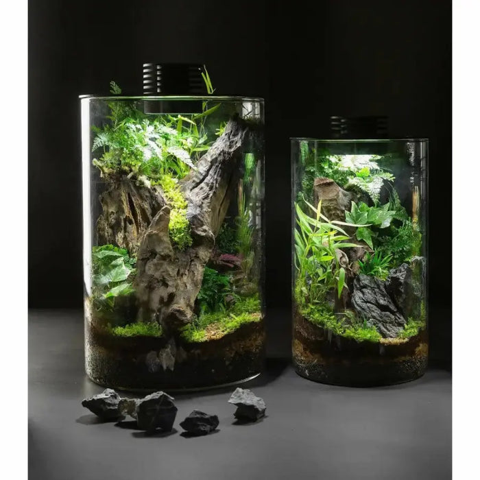 Bioscape 200 cylinder Nano Moss Terrarium  (8.2 litre) with Grow Light