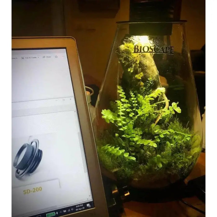 Bioscape 200 rounded  Nano Moss Terrarium (5 litre) with Grow Light