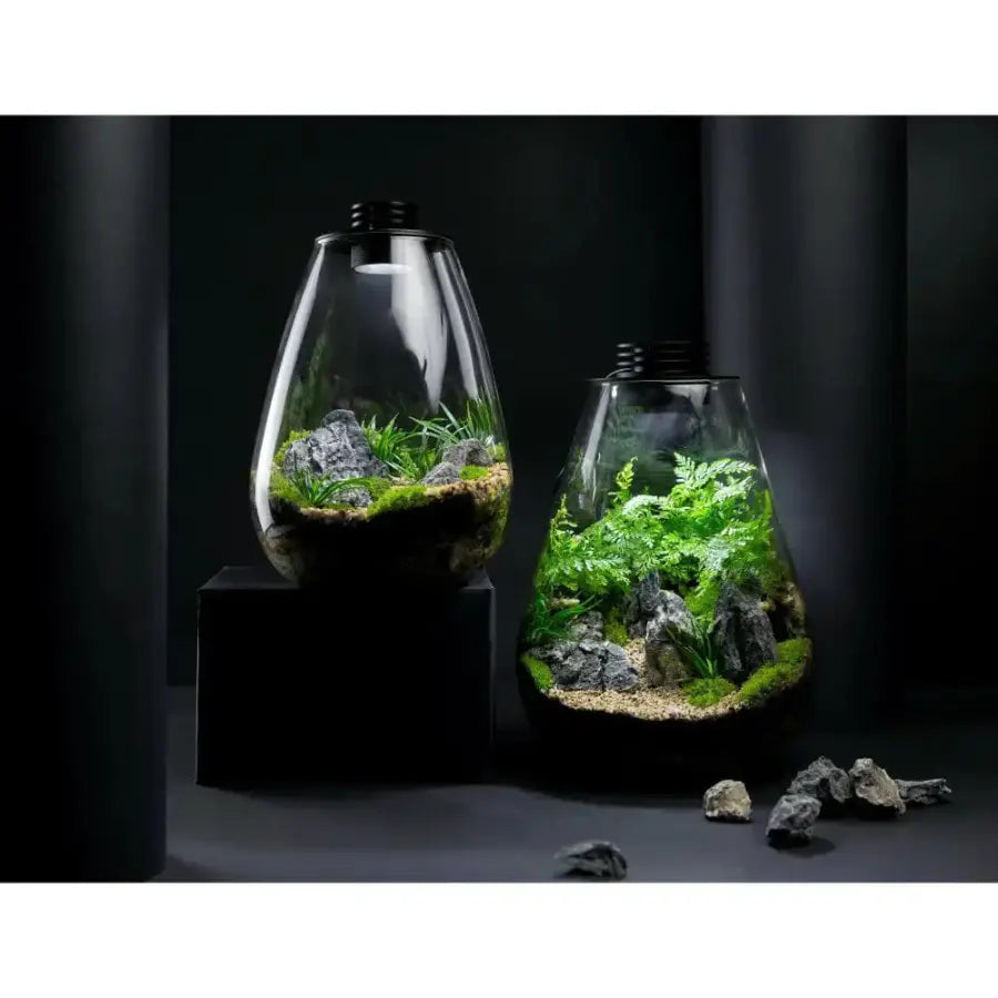 All Terrariums