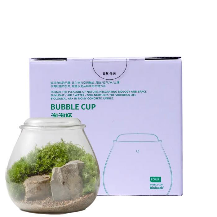Bioloark Bubble Cup # 4