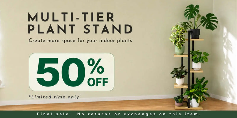 Black and wood multi-tier plant stand with five shelves holding various potted plants